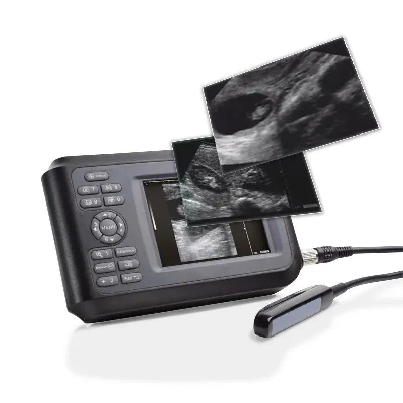 Smart F Vet Veterinary Ultrasound Scanning Diagnostic Handheld Ultrasound