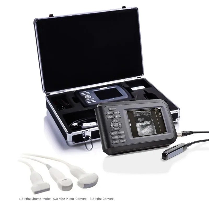 Smart F Vet Veterinary Ultrasound Scanning Diagnostic Handheld Ultrasound