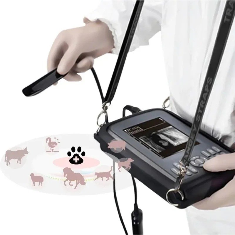 Smart F Vet Veterinary Ultrasound Scanning Diagnostic Handheld Ultrasound