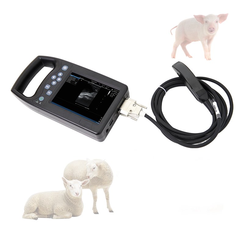 Laptop Portable Animals Ultrasound Veterinary Ultrasound Machinevet Handheld Ultrasound Scanner