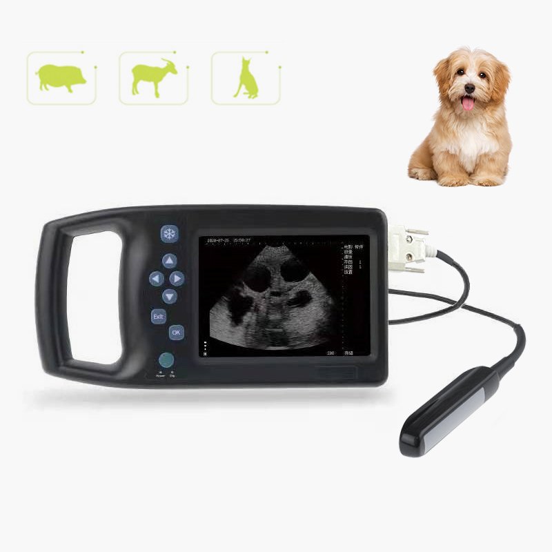 Laptop Portable Animals Ultrasound Veterinary Ultrasound Machinevet Handheld Ultrasound Scanner