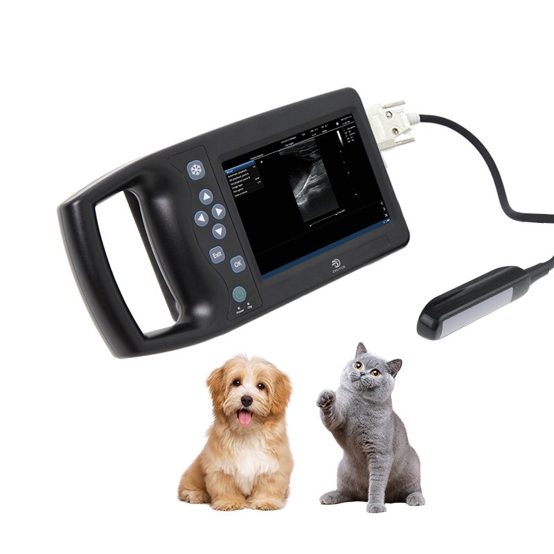 Laptop Portable Animals Ultrasound Veterinary Ultrasound Machinevet Handheld Ultrasound Scanner