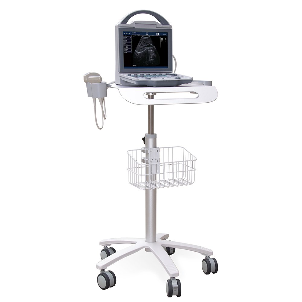 Portable B Ultrasound Veterinary Instruments for Pets Portable Veterinary Ultrasound Machine Standard (6.5 Microconvex)