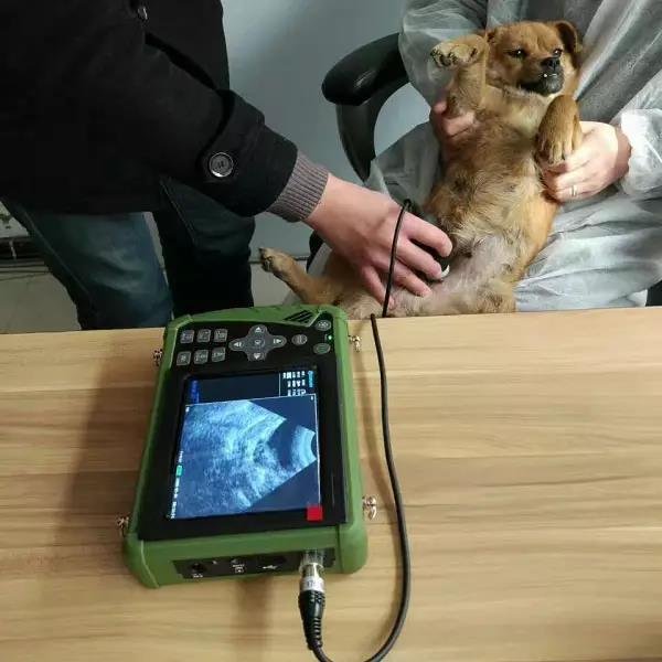 EUR PET Handheld Professional Medical Cheap Portable Ultrasound Machine For Veterinary Use