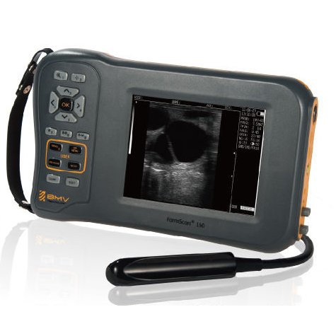 Portable handheld scanner cattle and horse pregnancy detection veterinary ultrasound machine