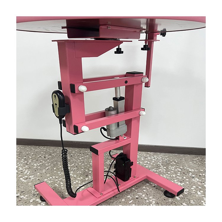 Factory Custom Electric Lift Veterinary Pet Grooming Table Adjustable Dog Grooming Table Hydraulic