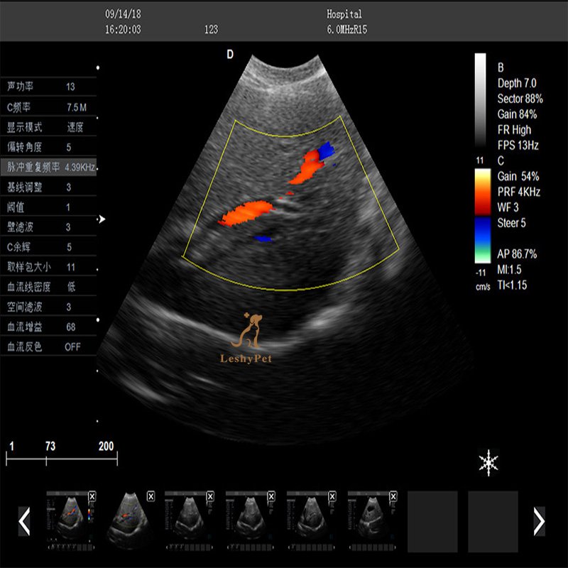 Leshypet Animal Medical Ultrasound Instruments ultrasonido portatil Ultrasound Portable Color Doppler Ultrasound Machine