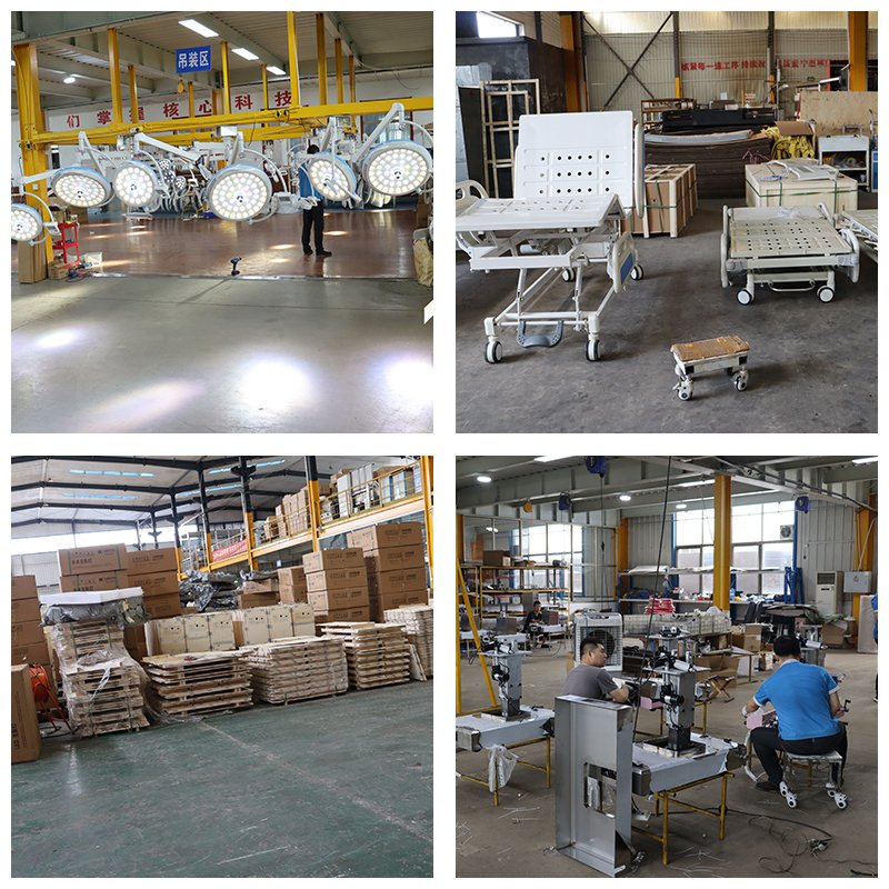 Factory Wholesale Height Adjustable Modern Electric Dog Grooming Station Portable Pet Dog Grooming Station