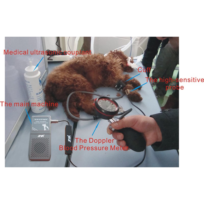 Pets Ultrasound Veterinary Blood Pressure Monitor Portable Animal Doppler Blood Pressure Monitor Vet Manual Sphygmomanometer