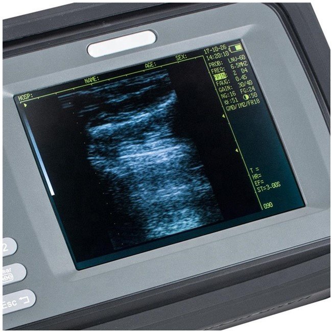 medical ultrasound instruments Small vet Veterinary ultrasound animals dog/horse usg machine price