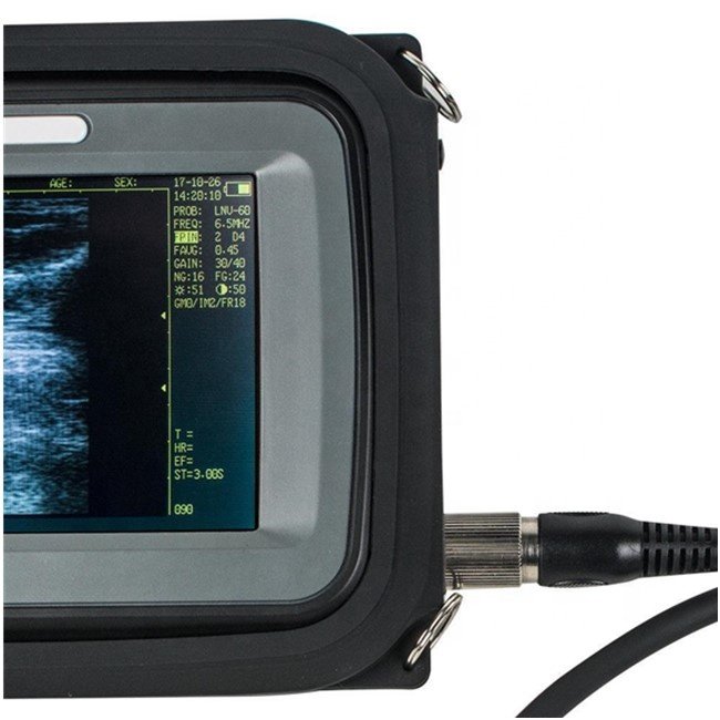 medical ultrasound instruments Small vet Veterinary ultrasound animals dog/horse usg machine price