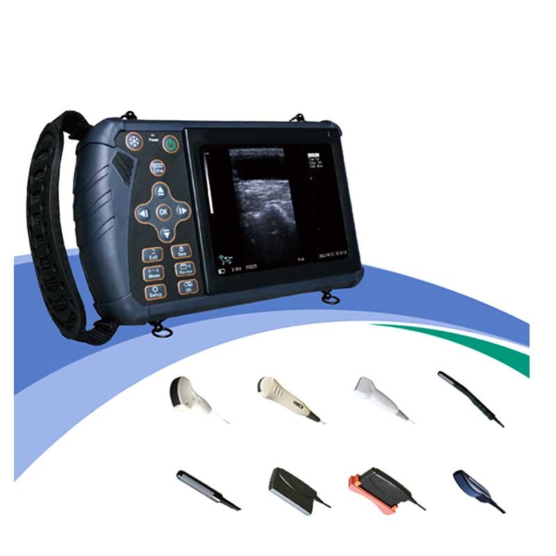 EUR PET High Quality Veterinary Pregnancy Scanner Sheep Veterinary Equipment Cattle Ultrasound Machine For Cow