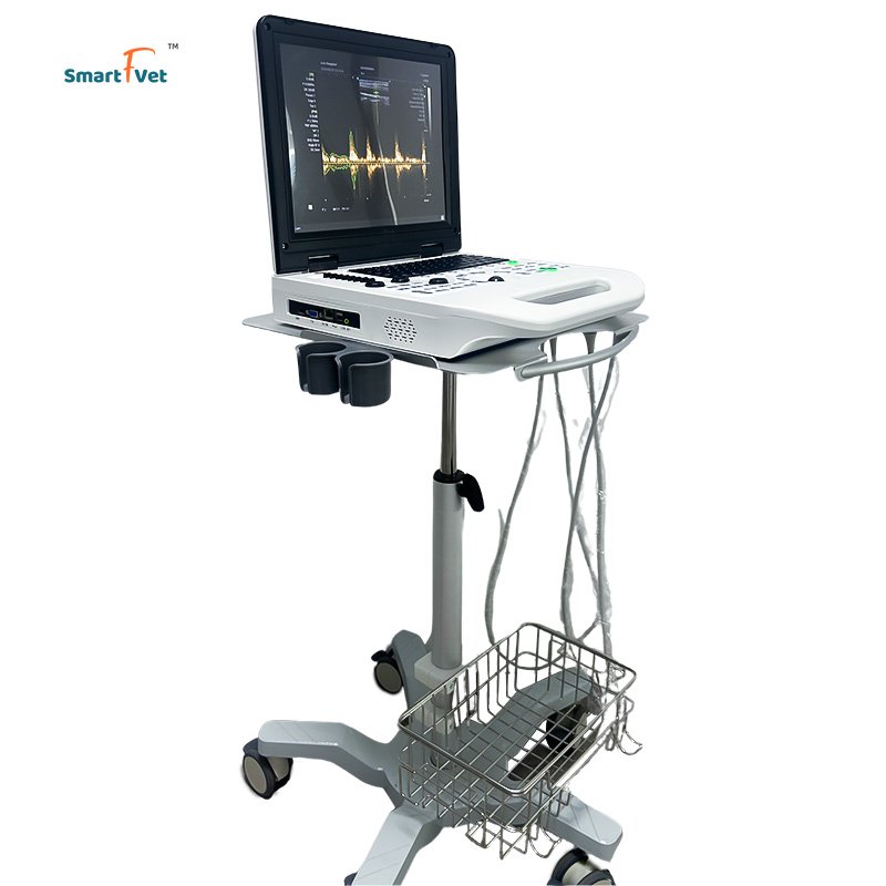 Smart F Vet Veterinary Instrument Notebook Portable Full Digital Ultrasound B/W Laptop Ultrasound Scanner Machine For Animal