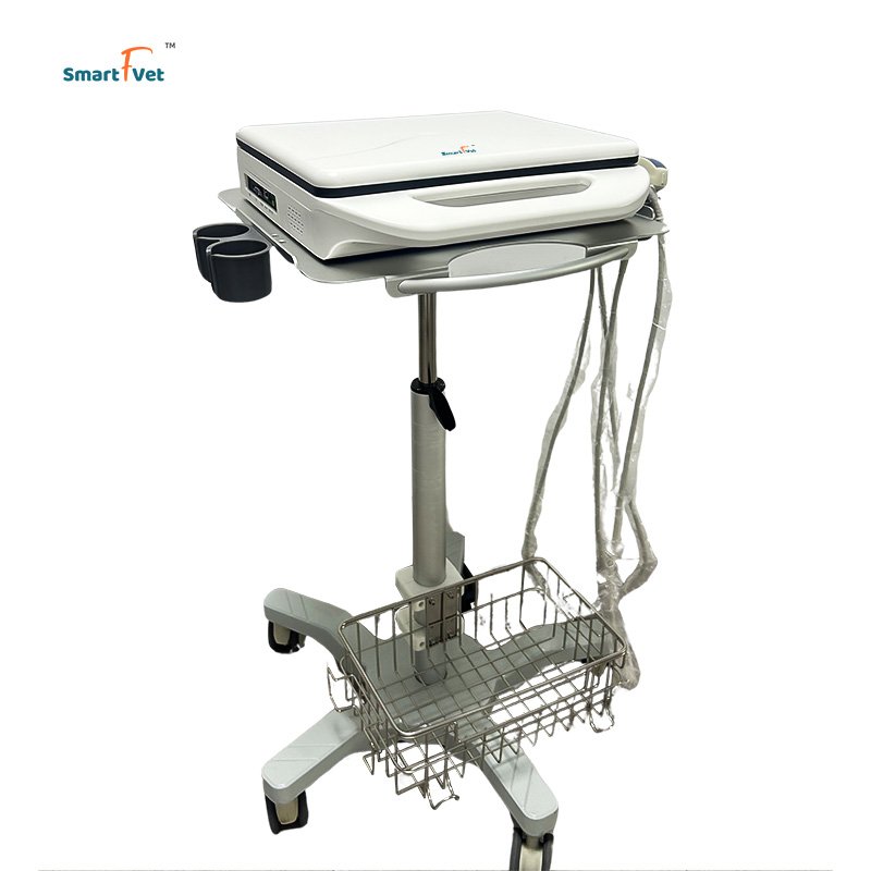 Smart F Vet Veterinary Instrument Notebook Portable Full Digital Ultrasound B/W Laptop Ultrasound Scanner Machine For Animal