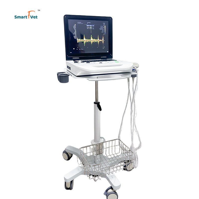 Smart F Vet Veterinary Instrument Notebook Portable Full Digital Ultrasound B/W Laptop Ultrasound Scanner Machine For Animal