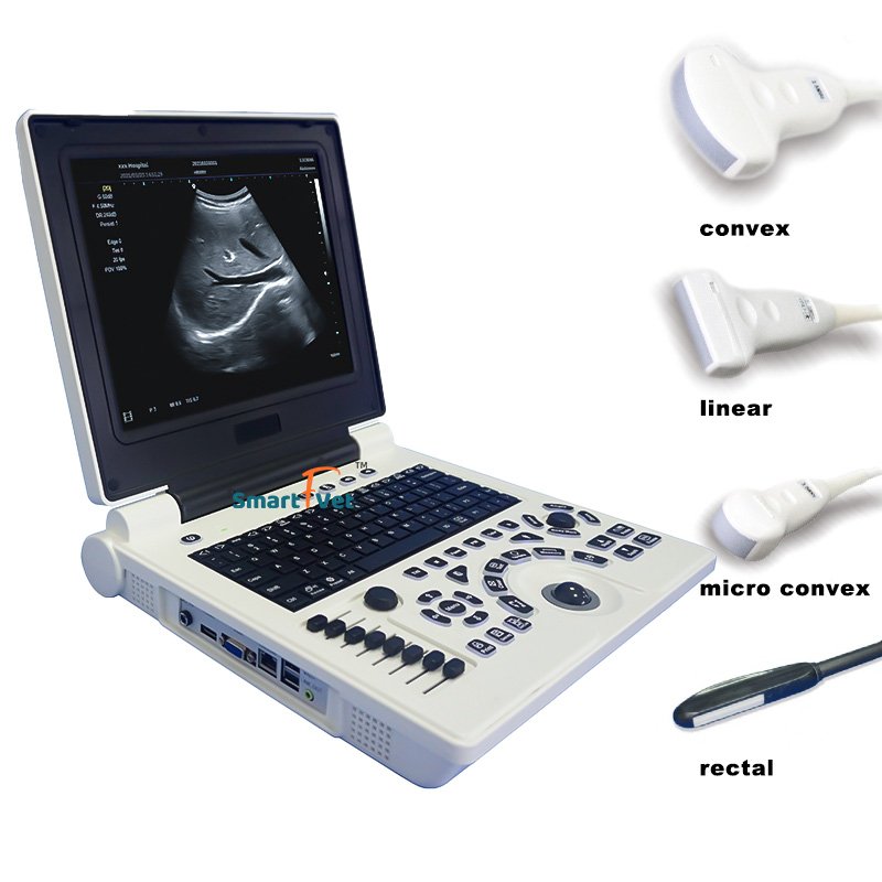 Veterinary Instrument Portable Full Digital Ultrasound Machine B/W Laptop Ultrasound Scanner
