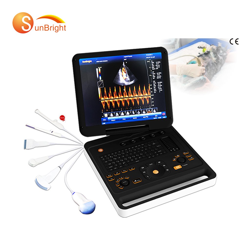 medical ultrasound instruments SUNBRIGHT 906A veterinary Digital 3D Color Doppler Ultrasound Scanner System ultrasound machine