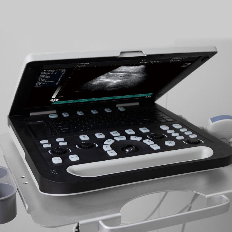 Cheap veterinary ultrasound machine portable ultrasound for Bovine Equine
