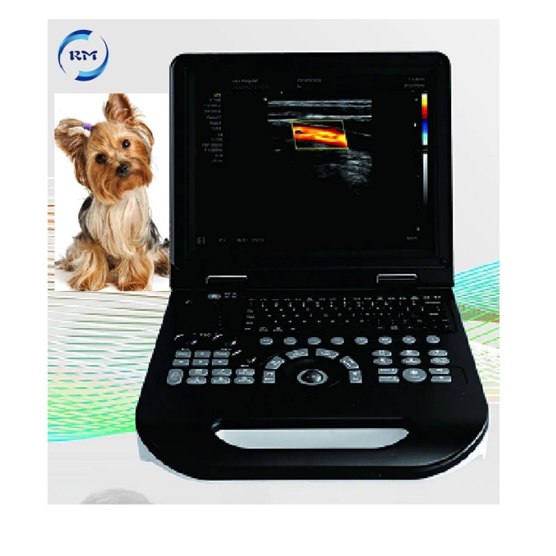 Medical Portable Ultrasound machine portable Diagnostic Imaging System 3D Color Doppler Ultrasound Machine