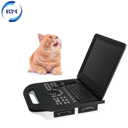 Medical Portable Ultrasound machine portable Diagnostic Imaging System 3D Color Doppler Ultrasound Machine