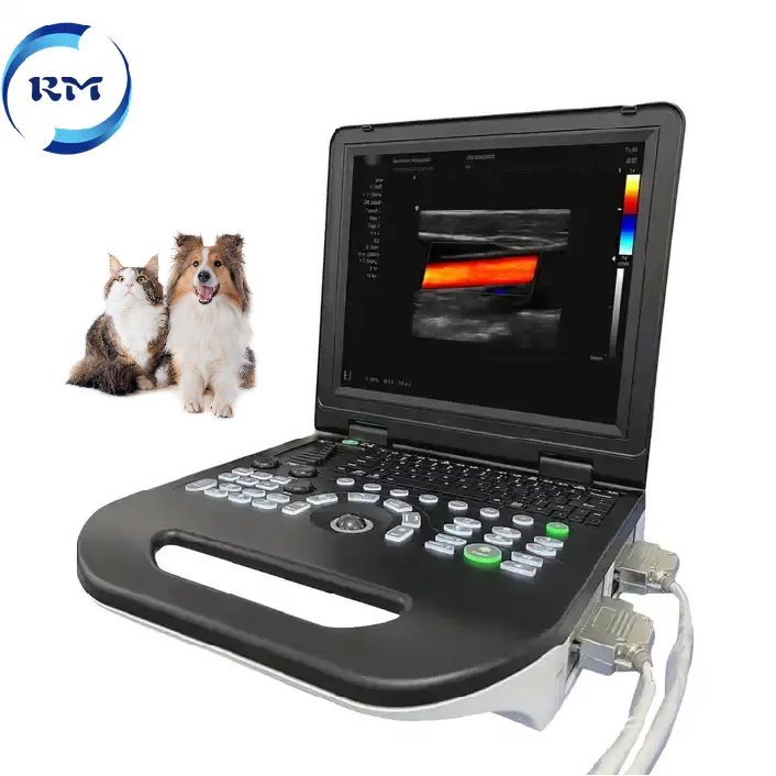 Medical Portable Ultrasound machine portable Diagnostic Imaging System 3D Color Doppler Ultrasound Machine