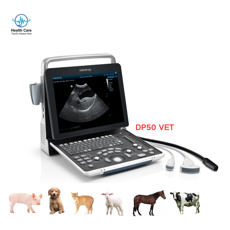Mindray Color Doppler Vet Ultrasound DP 50 Mindray Veterinary Ultrasound Machine DP50 Vet Scanner