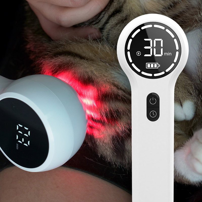 Laser Physical Therapy Cold Laser Therapy Device for Pain Relief Suitable for Human and Animal