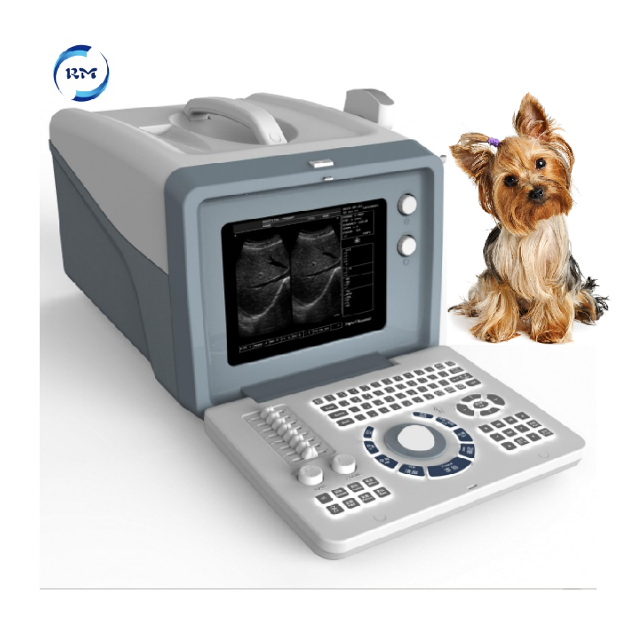 Ce Approved Ultrasound System 12 Inches LED Digital Portable Vet Ultrasound Machine