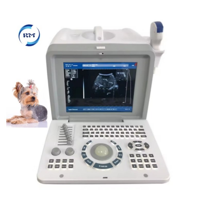 Ce Approved Ultrasound System 12 Inches LED Digital Portable Vet Ultrasound Machine