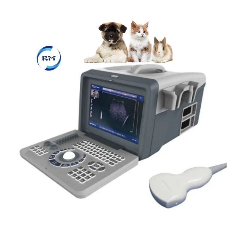 Ce Approved Ultrasound System 12 Inches LED Digital Portable Vet Ultrasound Machine