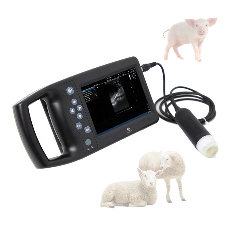 medical echographie portatifs en 3d prix machine ultrasound scanner