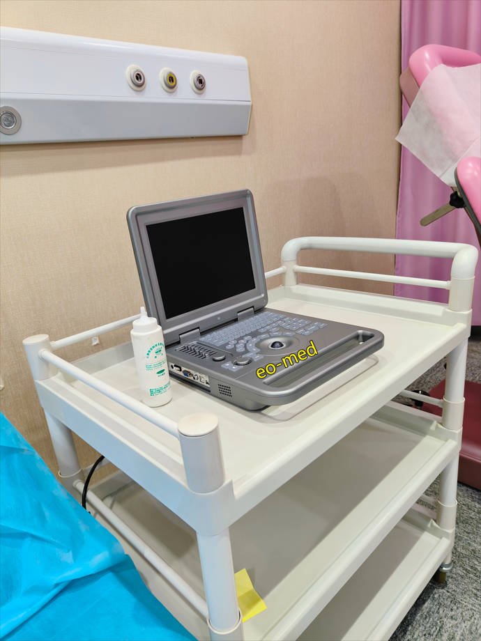 High resolution Medical Ultrasound Instruments Diagnostic portable ultrasound machine BW70A