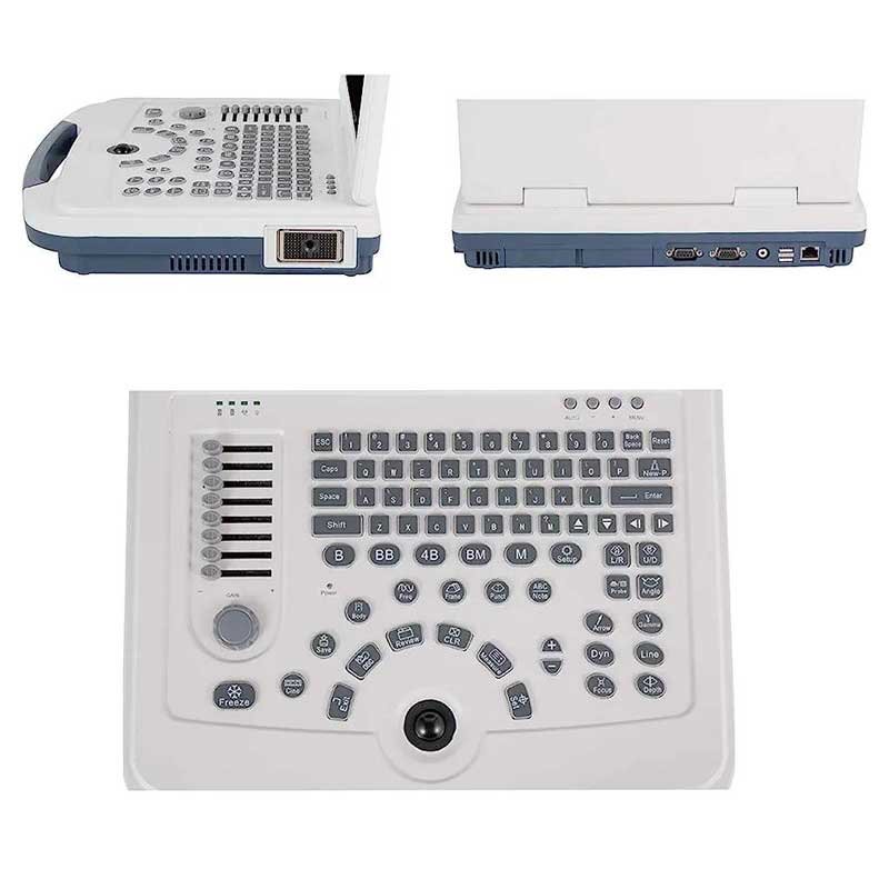Dawei Dog Puppy Ultrasound Veterinary Ultrasound Machine Medical Ultrasound Instruments