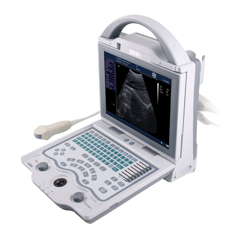 Veterinary Pregnancy B-Ultrasound Scanner Machine Good Quality Handheld Animal equipment pet hospital