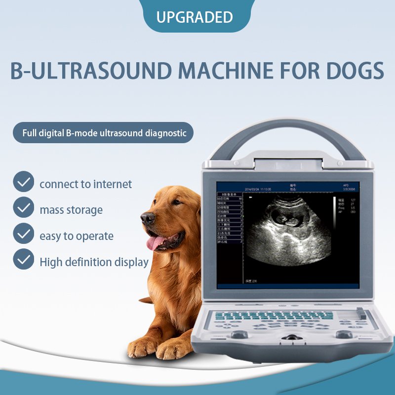 Veterinary Pregnancy B-Ultrasound Scanner Machine Good Quality Handheld Animal equipment pet hospital