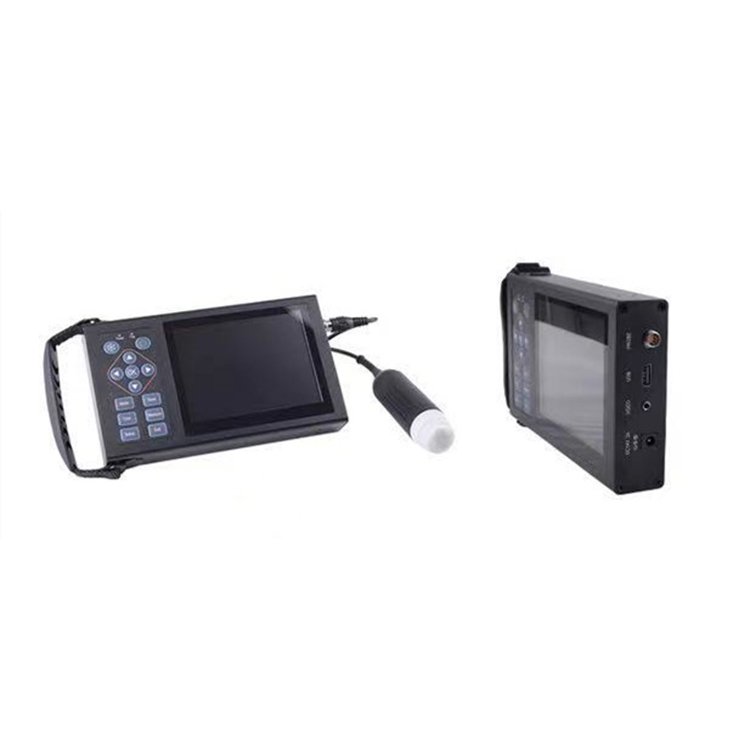 Portable Full Digital Veterinary Medical Ultrasound Instrument for Sheep Canine Dog Pig for Veterinary Ultrasound Machine