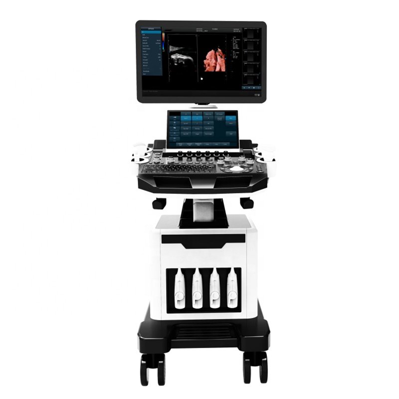 Portable Medical ultrasound instruments Veterinary Use Black and White ultrasound machine price veterinary Scanner