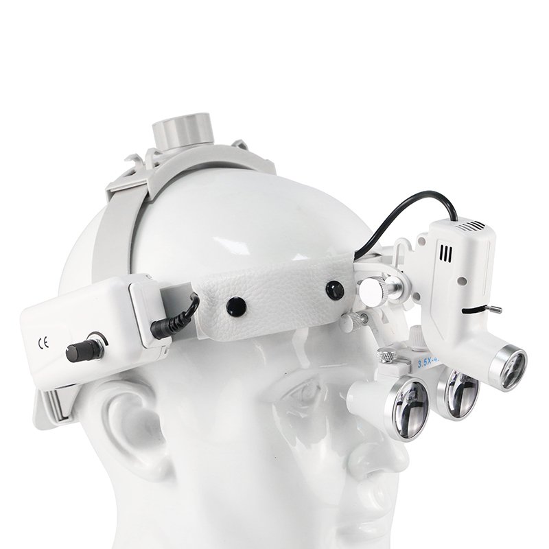 Medical ENT Headlight Veterinary Instrument For Animal Human Examination