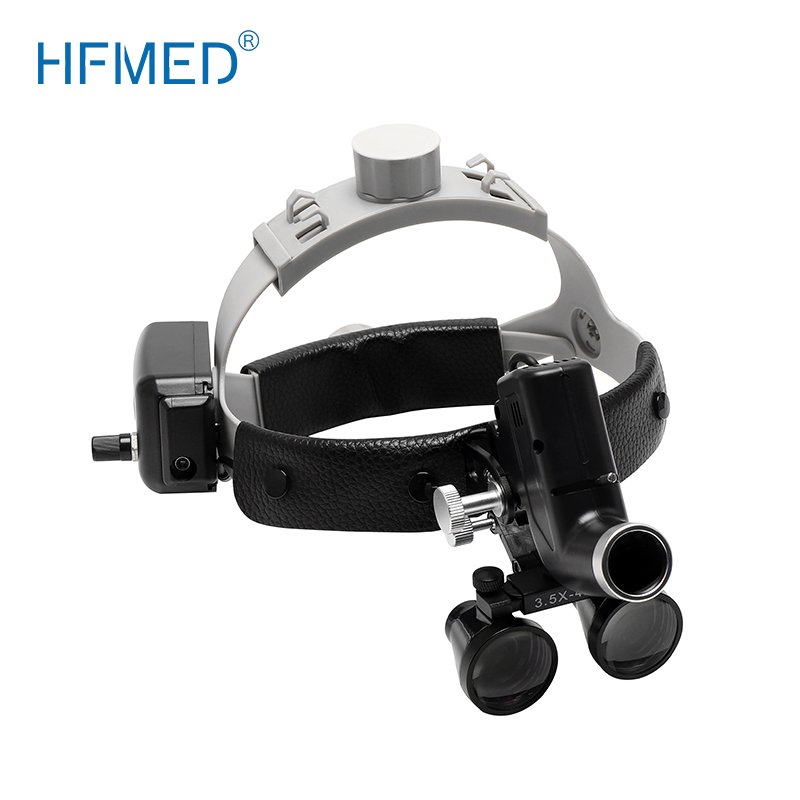 Medical ENT Headlight Veterinary Instrument For Animal Human Examination