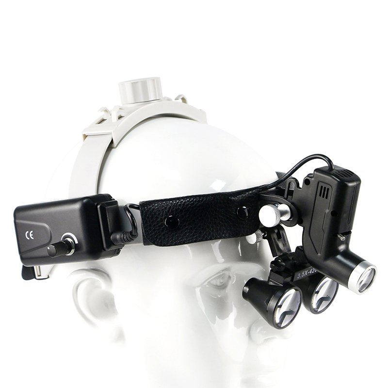 Medical ENT Headlight Veterinary Instrument For Animal Human Examination