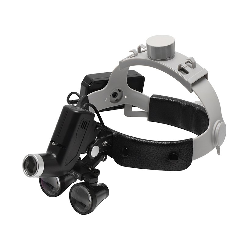 Medical ENT Headlight Veterinary Instrument For Animal Human Examination