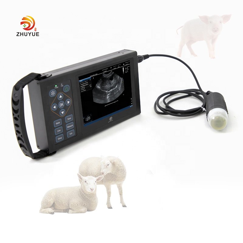 Hand scan Cheap Portable Rectal usg probe Vet Veterinary handheld veterinary vet ultrasound machine for pig sheep cattle goat
