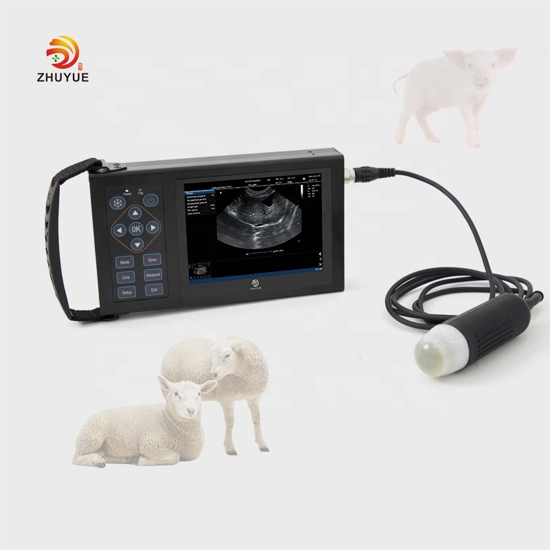 Hand scan Cheap Portable Rectal usg probe Vet Veterinary handheld veterinary vet ultrasound machine for pig sheep cattle goat