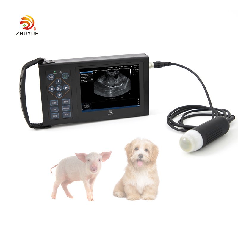 Hand scan Cheap Portable Rectal usg probe Vet Veterinary handheld veterinary vet ultrasound machine for pig sheep cattle goat
