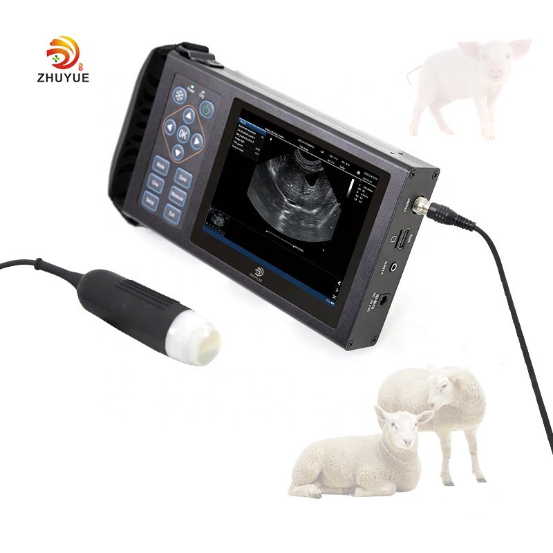Hand scan Cheap Portable Rectal usg probe Vet Veterinary handheld veterinary vet ultrasound machine for pig sheep cattle goat