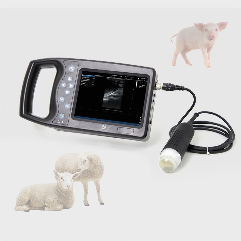 Hand scan Cheap Portable Rectal usg probe Vet Veterinary handheld veterinary vet ultrasound machine for pig sheep cattle goat