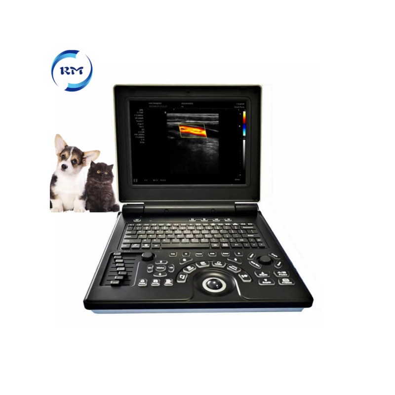 Rayman Veterinary Equipment Vet Full Digital Portable Ultrasound Scanner Machine for Animal