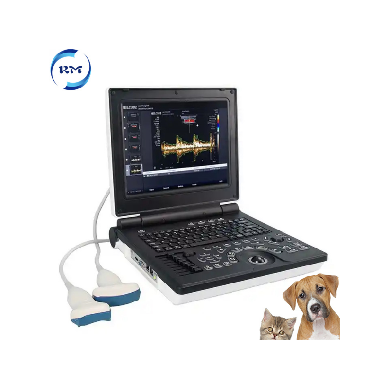 Rayman Veterinary Equipment Vet Full Digital Portable Ultrasound Scanner Machine for Animal
