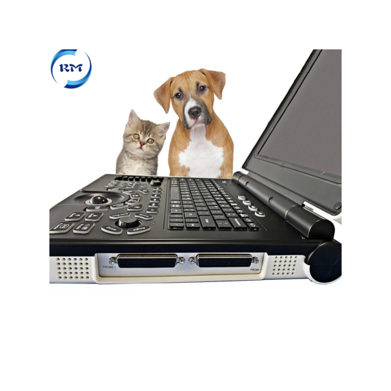 Rayman Veterinary Equipment Vet Full Digital Portable Ultrasound Scanner Machine for Animal