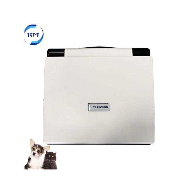 Rayman Veterinary Equipment Vet Full Digital Portable Ultrasound Scanner Machine for Animal